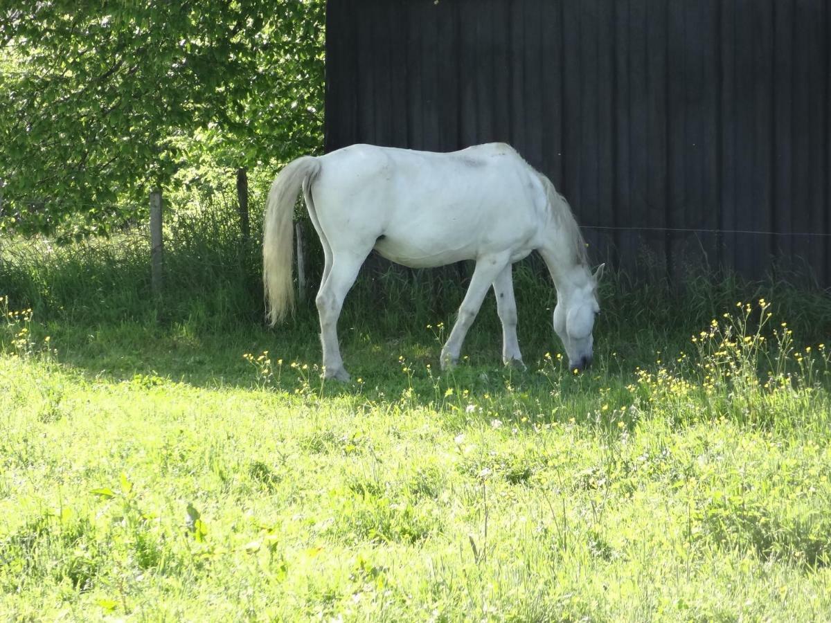 La Fermette Blanche Panzió Nadrin Kültér fotó